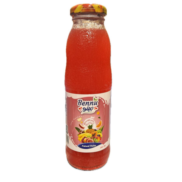 Bennu Cocktail Glass Juice 350ml x 24