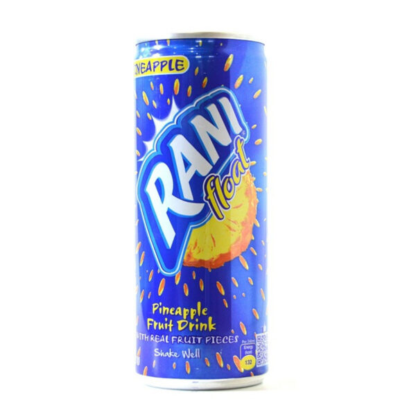 Rani Pineapple Float 240 ml X 24