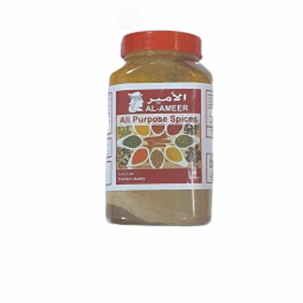 Al-Ameer All Purpose Spices 1kg