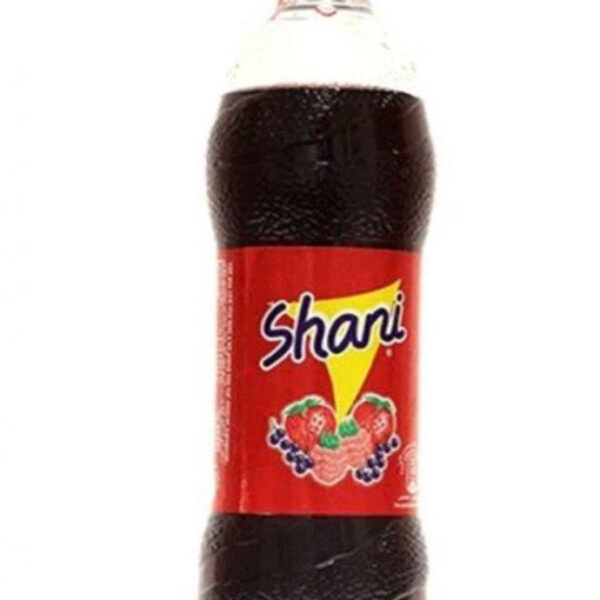 Shani bottle 500ml X 12